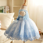 Vestido de Festa Infantil Renda Floral