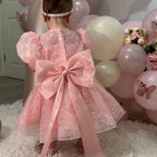 Vestido de Festa Brilhante com Lacinho