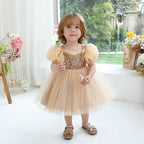 Vestido Infantil De Festa Lantejoulas e Tule