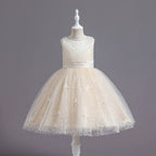 Vestido Infantil De Festa Strass Borboletinhas