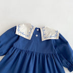 Vestido Infantil Bordado e Rendinha