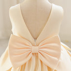 Vestido de Festa Infantil Florzinha