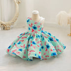 Vestido De Festa Infantil Floral Alcinha