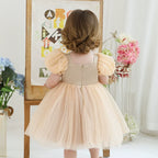 Vestido Infantil De Festa Lantejoulas e Tule