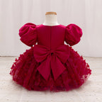 Vestido de Festa Infantil Borboletas e Laço