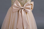 Vestido de Festa Longo Renda Brilhantes