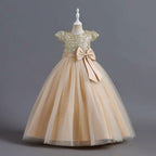 Vestido de Festa Longo Renda Brilhantes